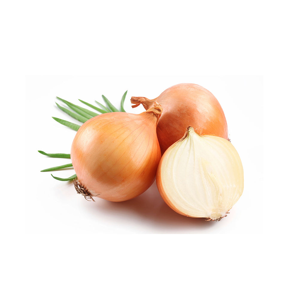Fresh white Onion