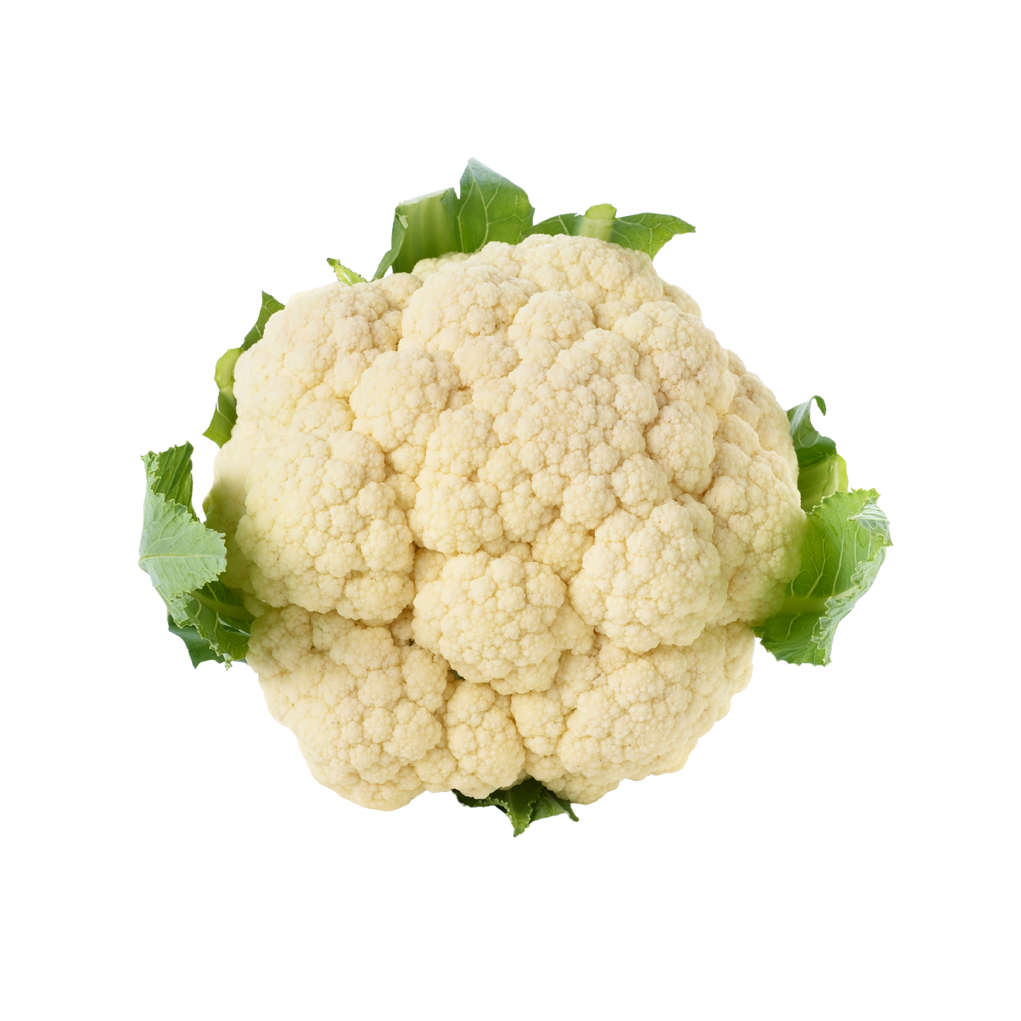 Fresh Cauliflower 1kg پھول گوبھی