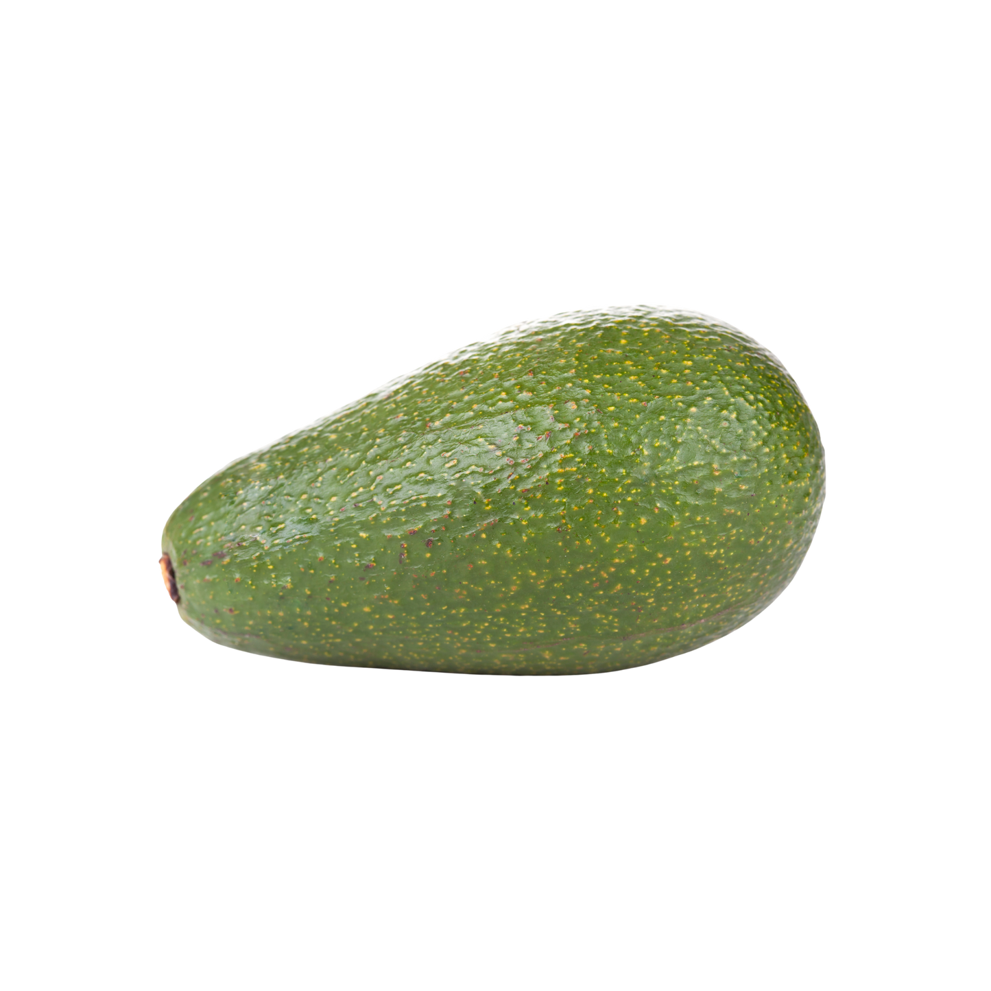 Fresh Avacado – ایواکاڈو