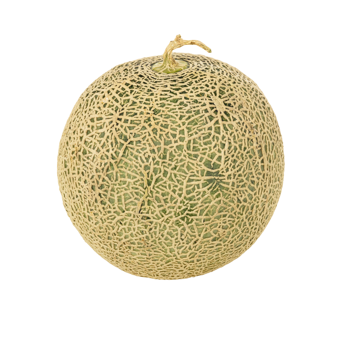 Fresh Melon – خربوزہ