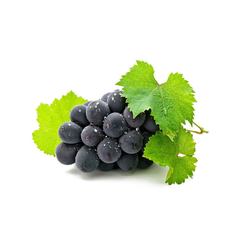 Exotic Delicious Juicy Fresh Blue Grapes