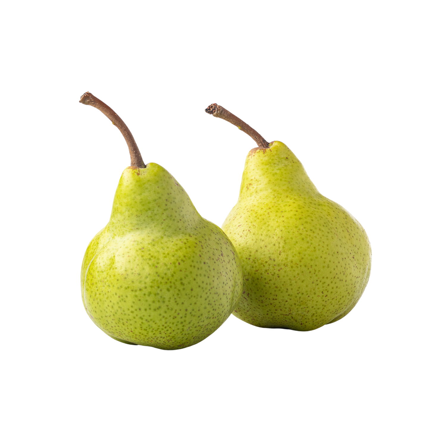 Fresh Pear – ناشپاتی