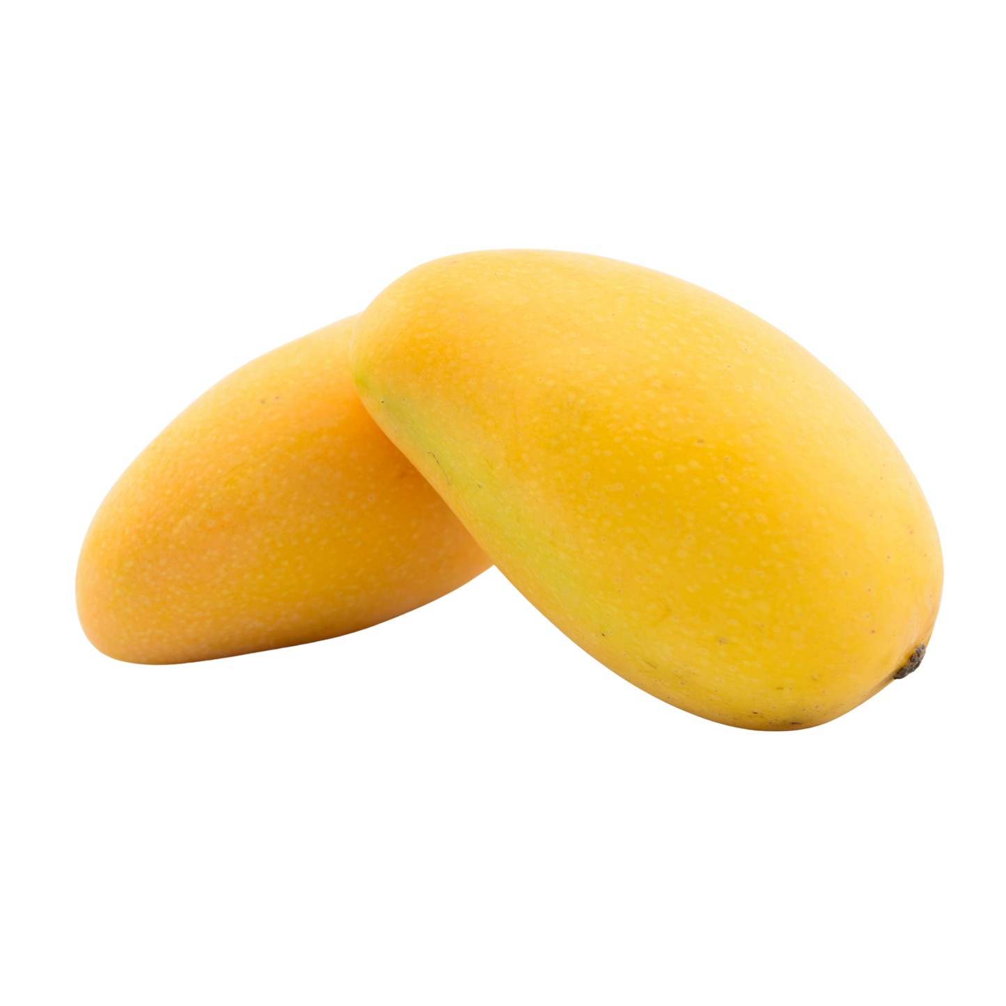 Fresh Mango – آم