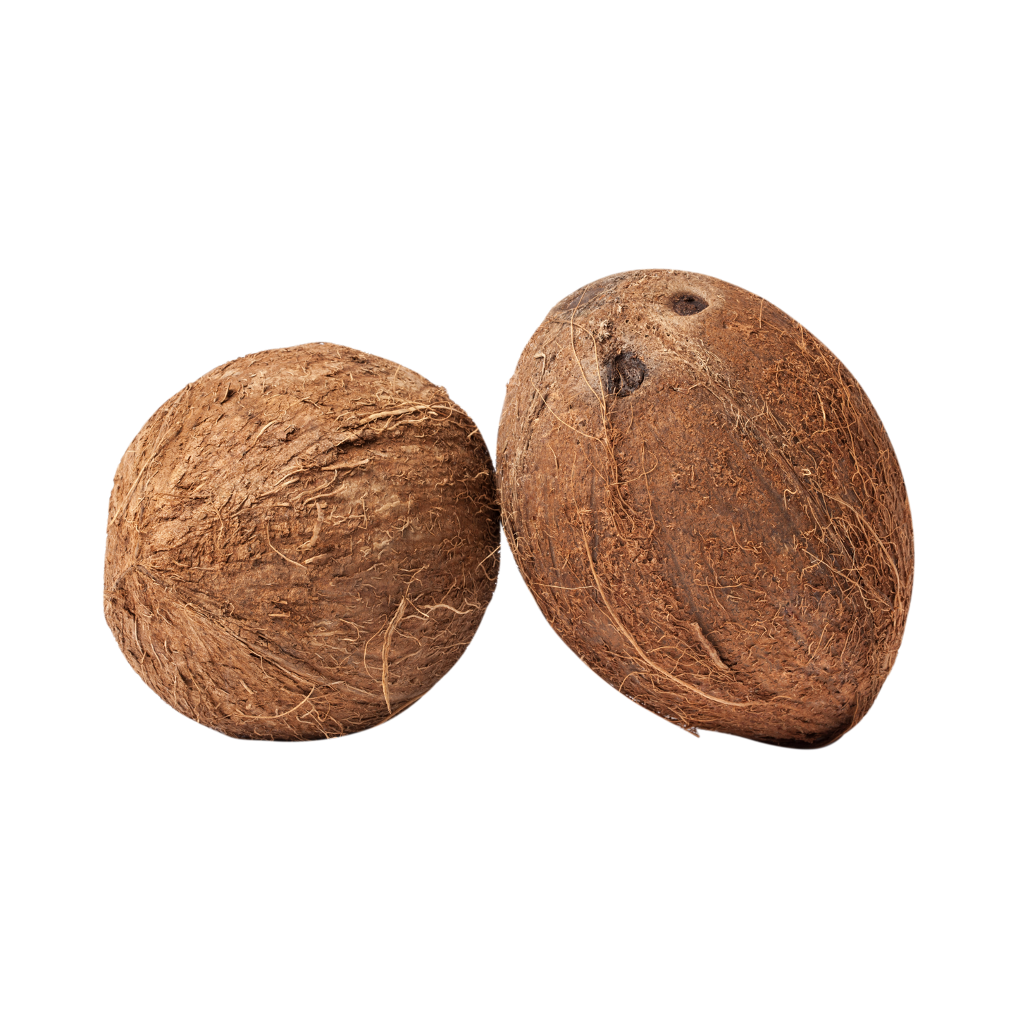Fresh Coconut – ناریل