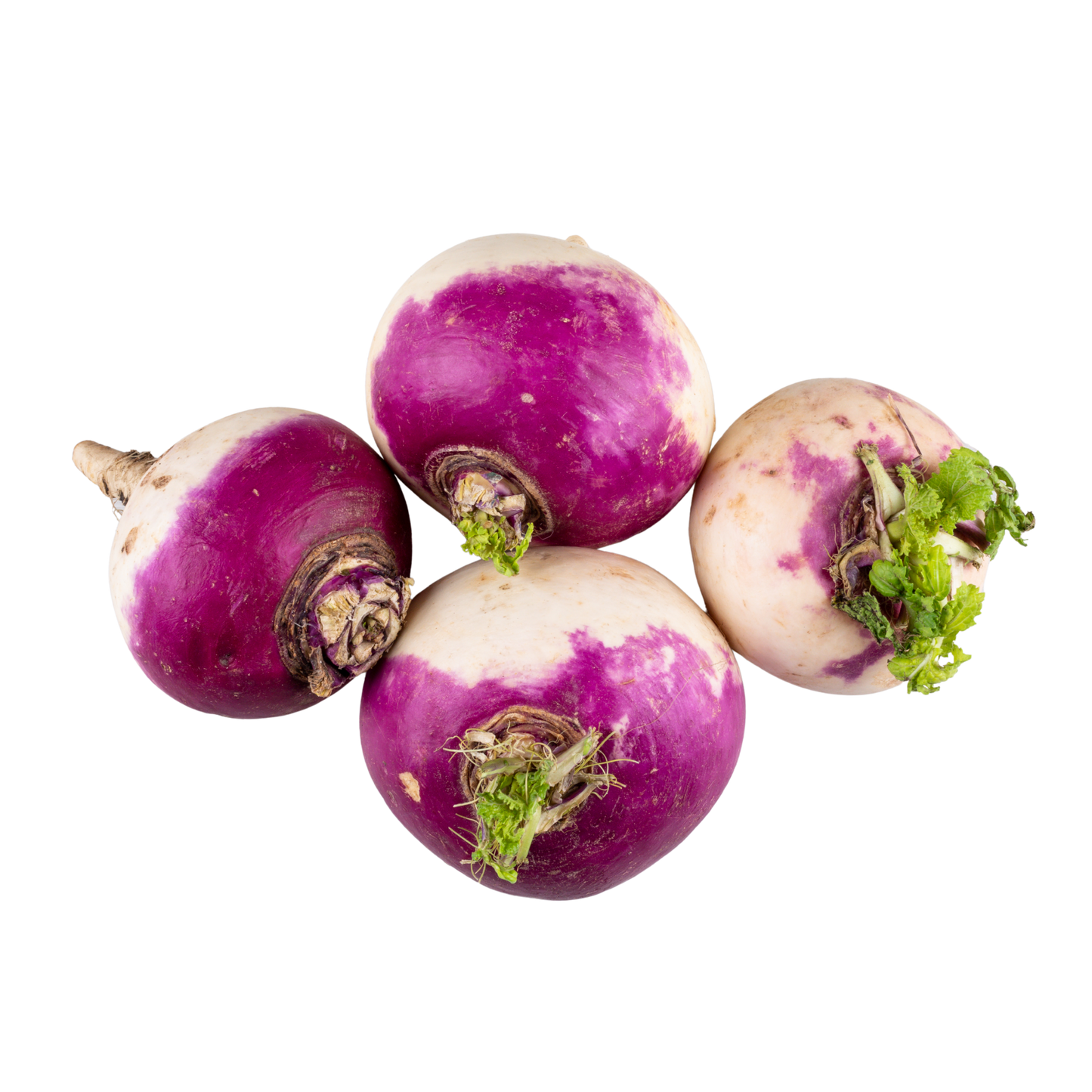 Fresh Turnip 1kg شلجم