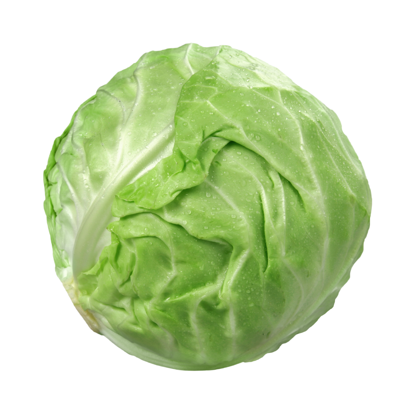 Fresh cabbage 1kg بند گوبھی
