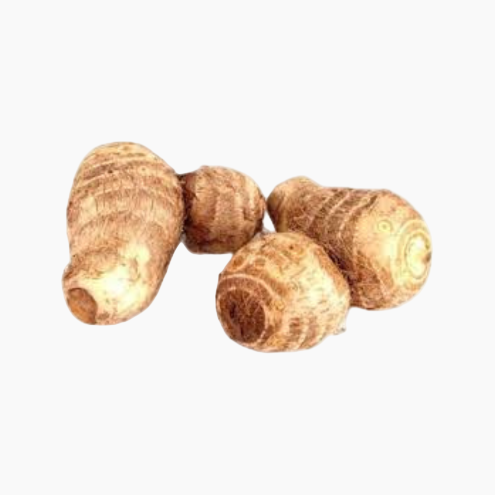 Four acorns on a white background