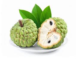 Custard Apple- شریفہ