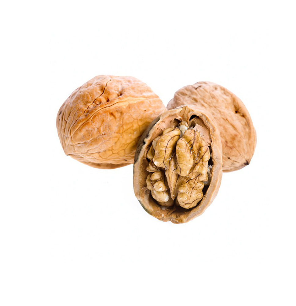 Blue Diamonds Brown Walnut In Shells