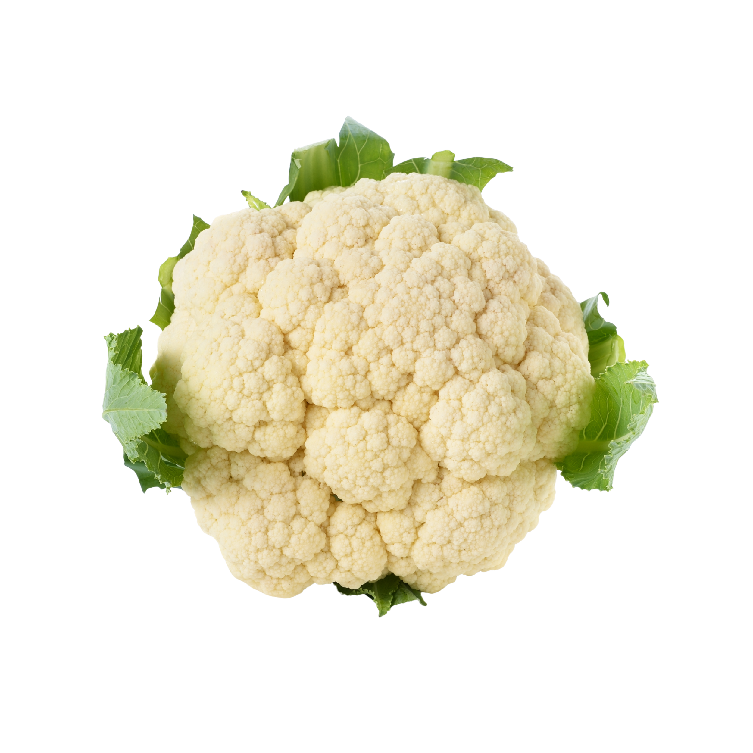 Fresh Cauliflower  1kg پھول گوبھی