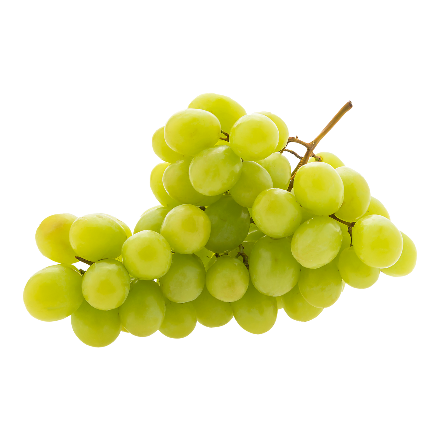 Fresh Grapes –  ( انگور گول )