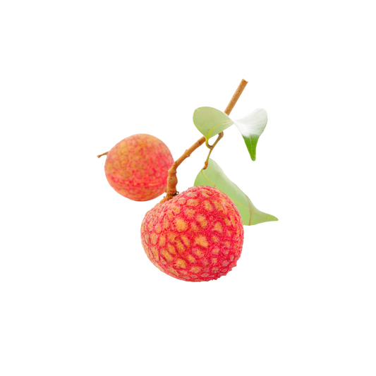 Fresh Lyches – لیچی