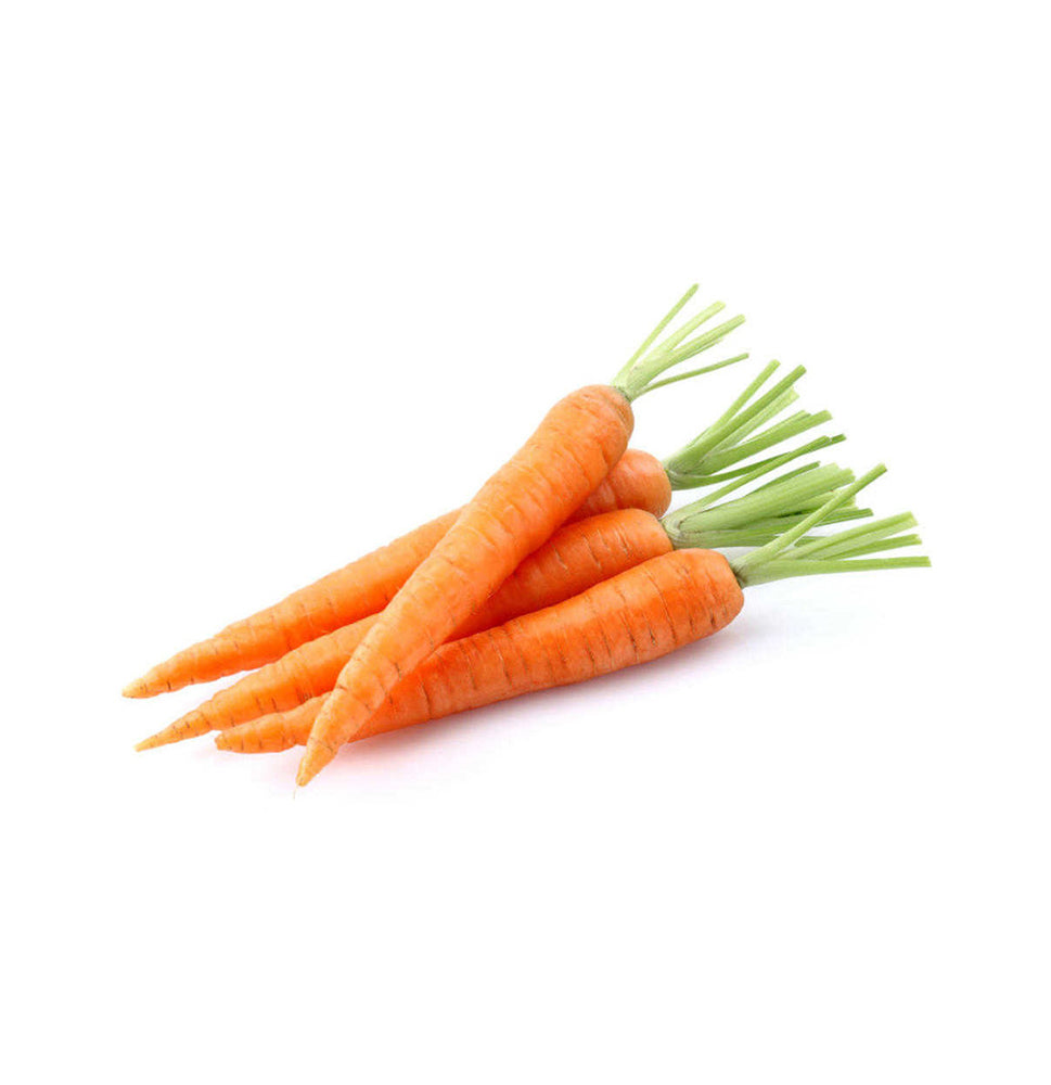 Fresh Orange Carrots
