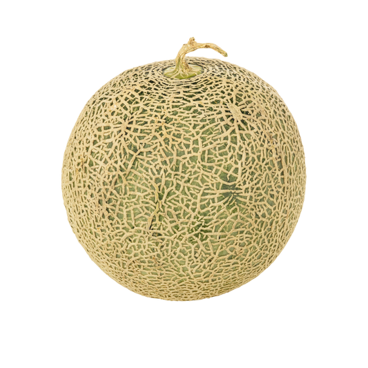 Fresh Melon – خربوزہ