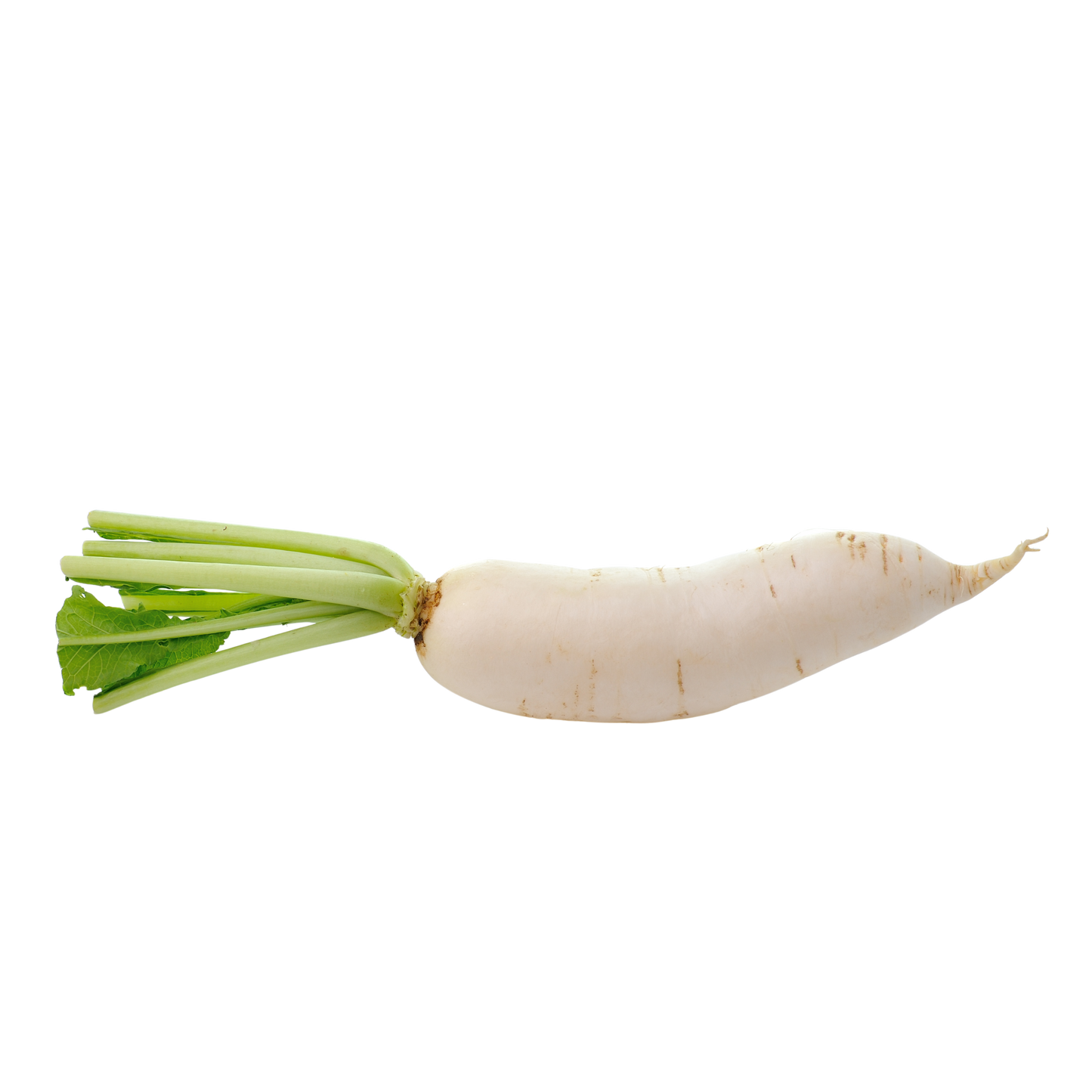 Fresh Radish  1kg مولی