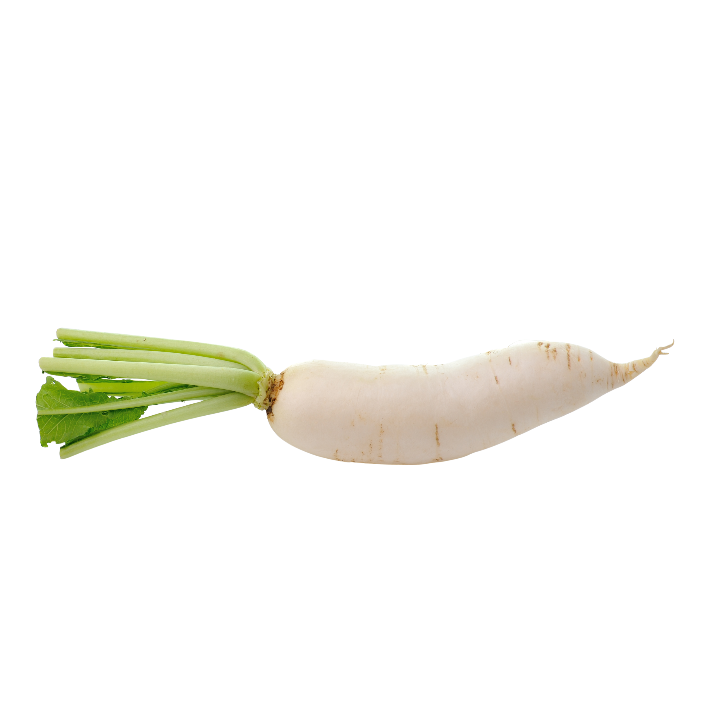 Fresh Radish  1kg مولی