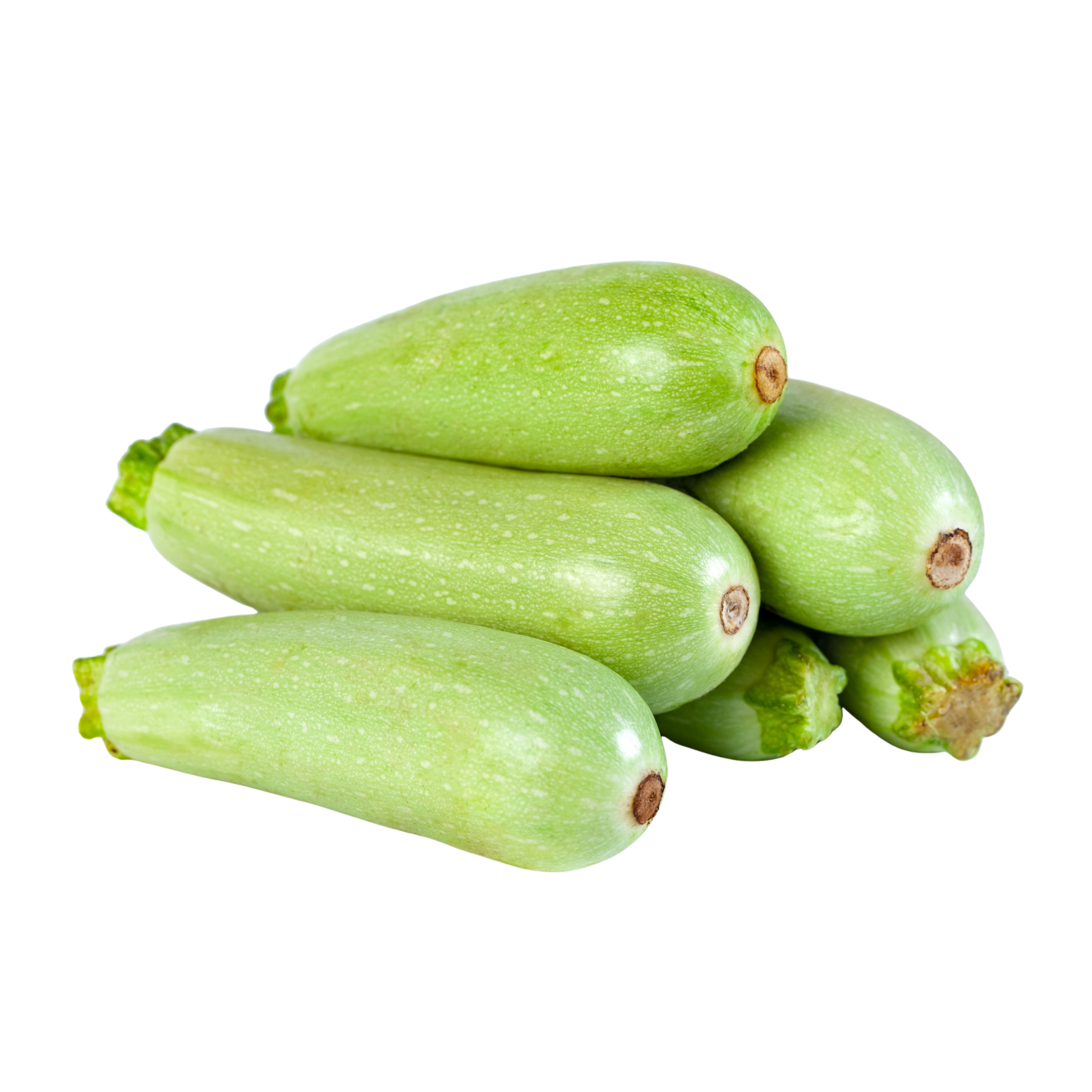 Fresh Bottle Gourd (Lauki) – Local Harvest 1kg