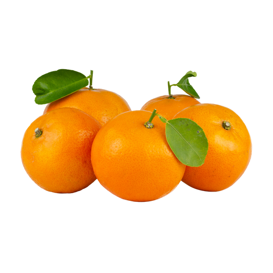 Fresh Orange – مالٹا
