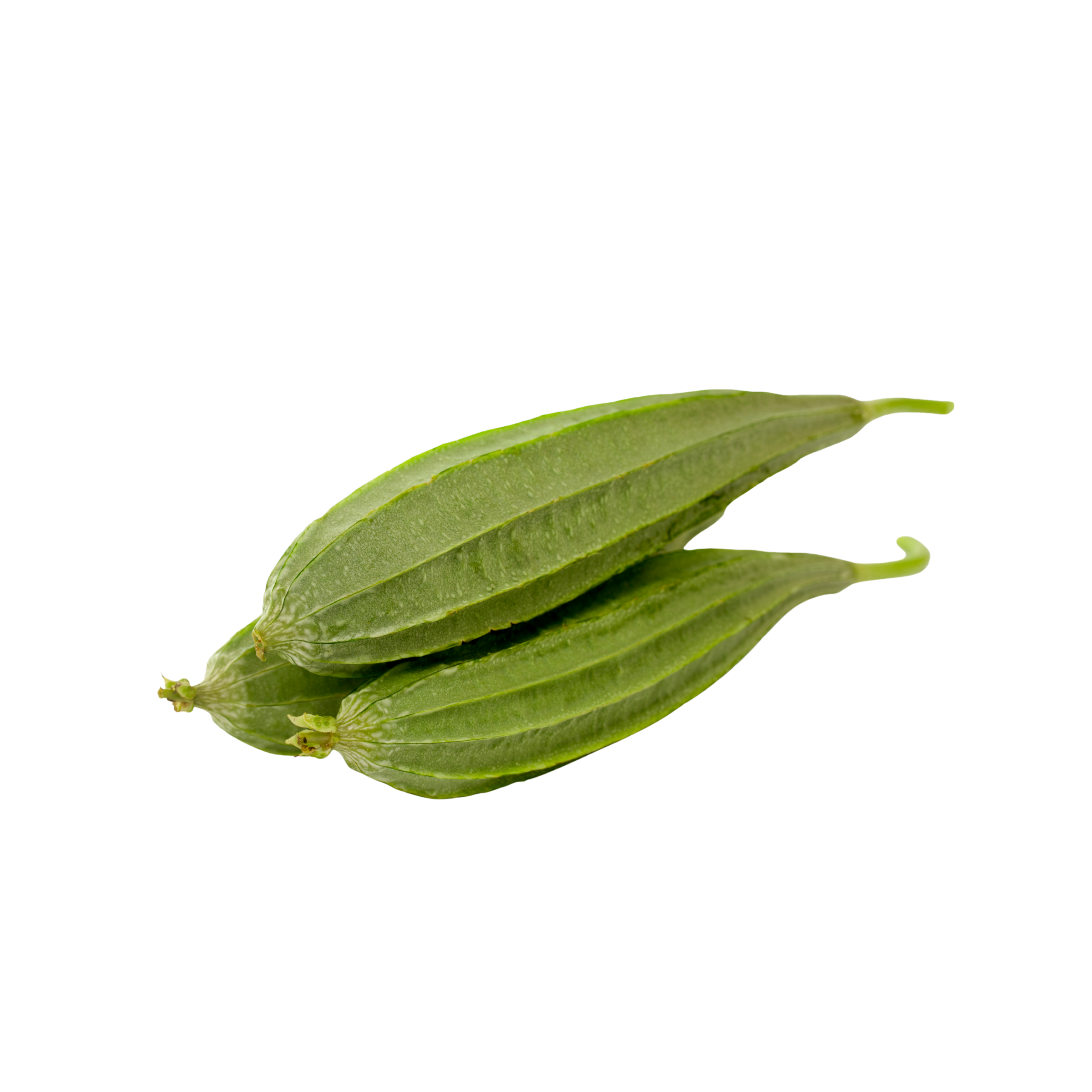 Fresh Ridge Gourd 1kg توری