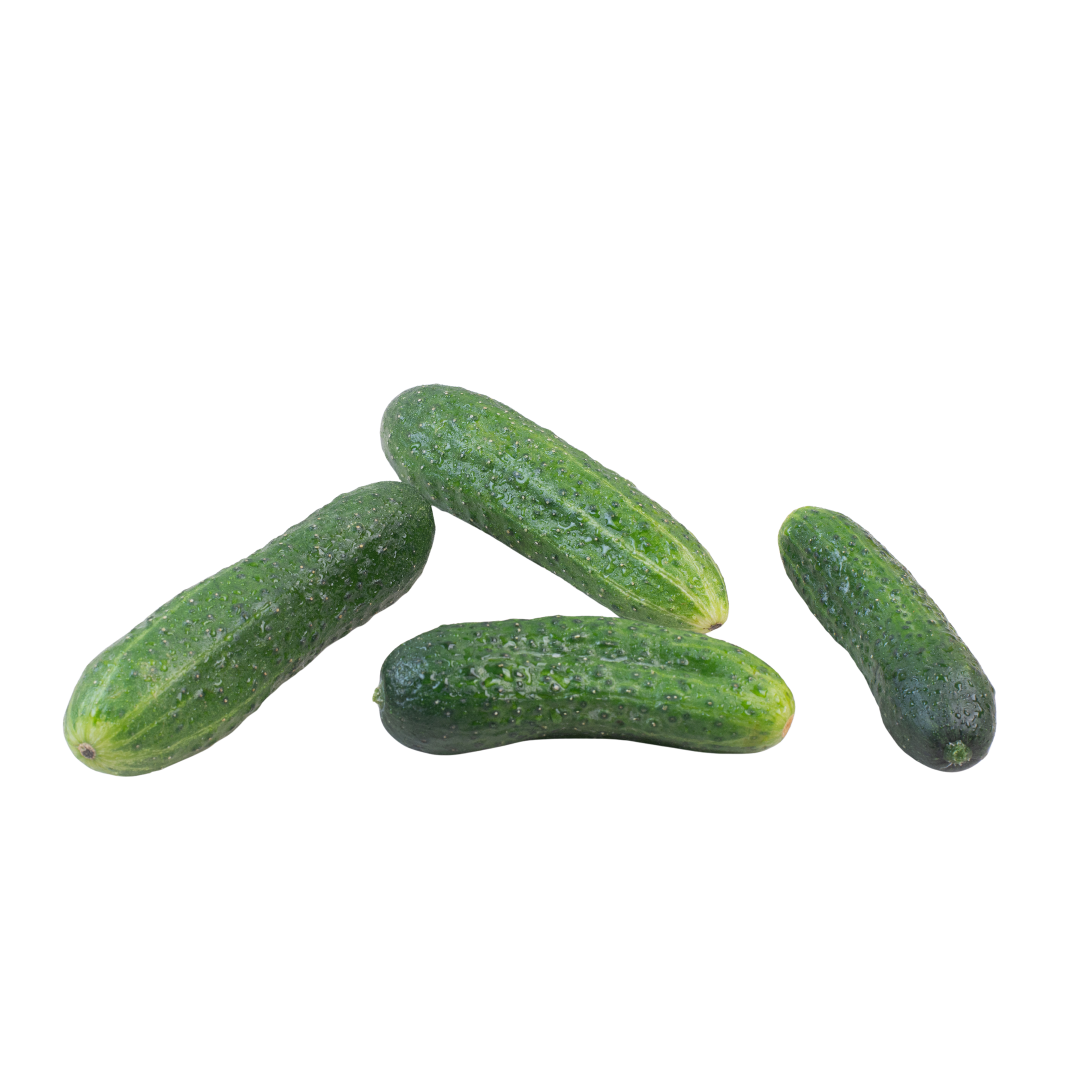 Fresh Cucumber 1kg  کھیرا