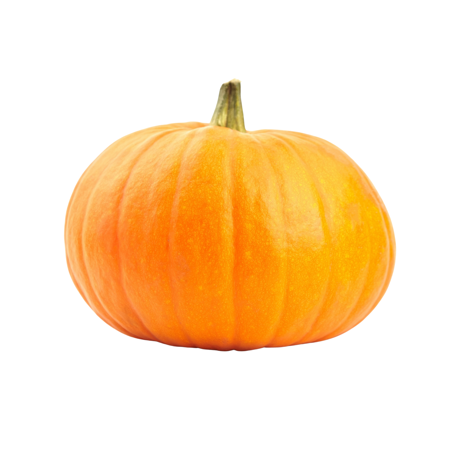 Fresh Pumpkin 1kg حلوہ کدو