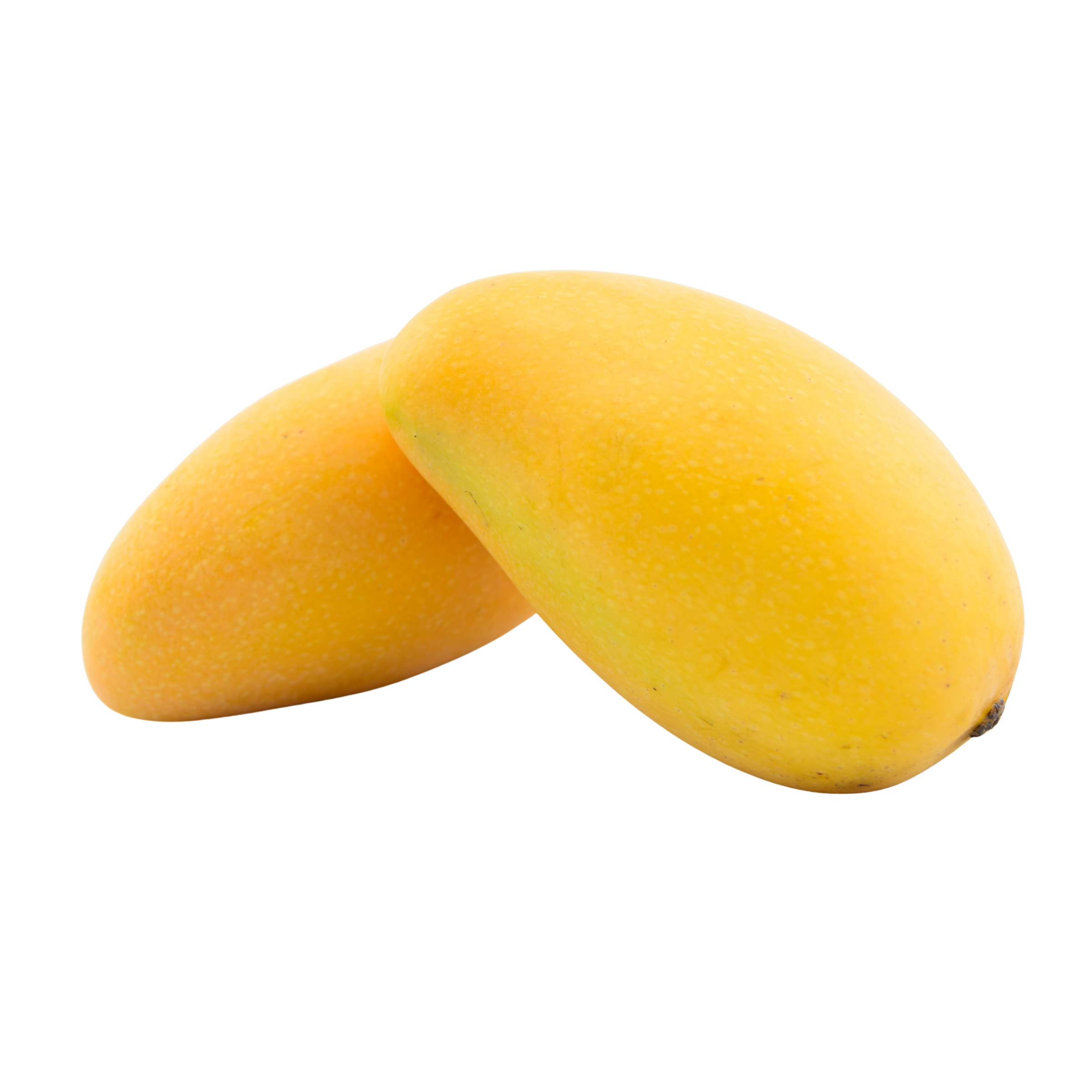 Fresh Mango – آم