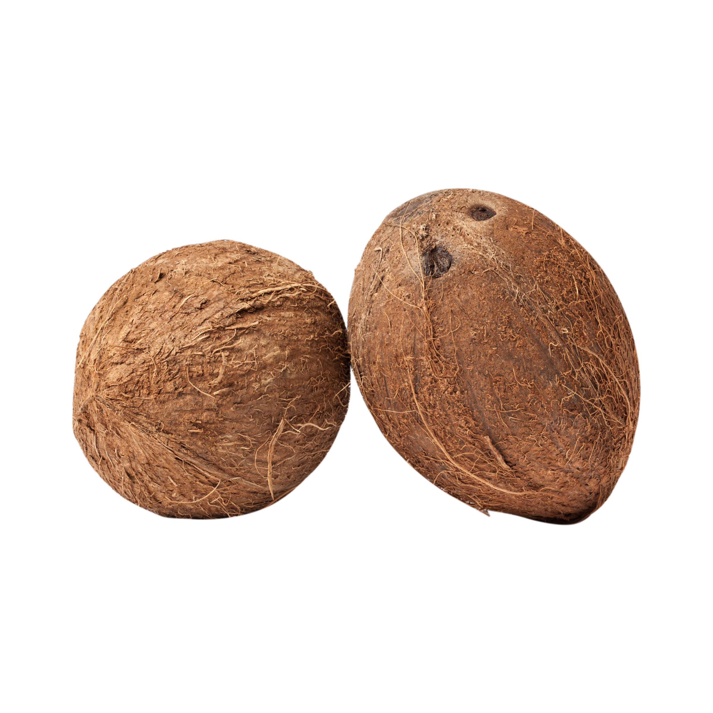 Fresh Coconut – ناریل