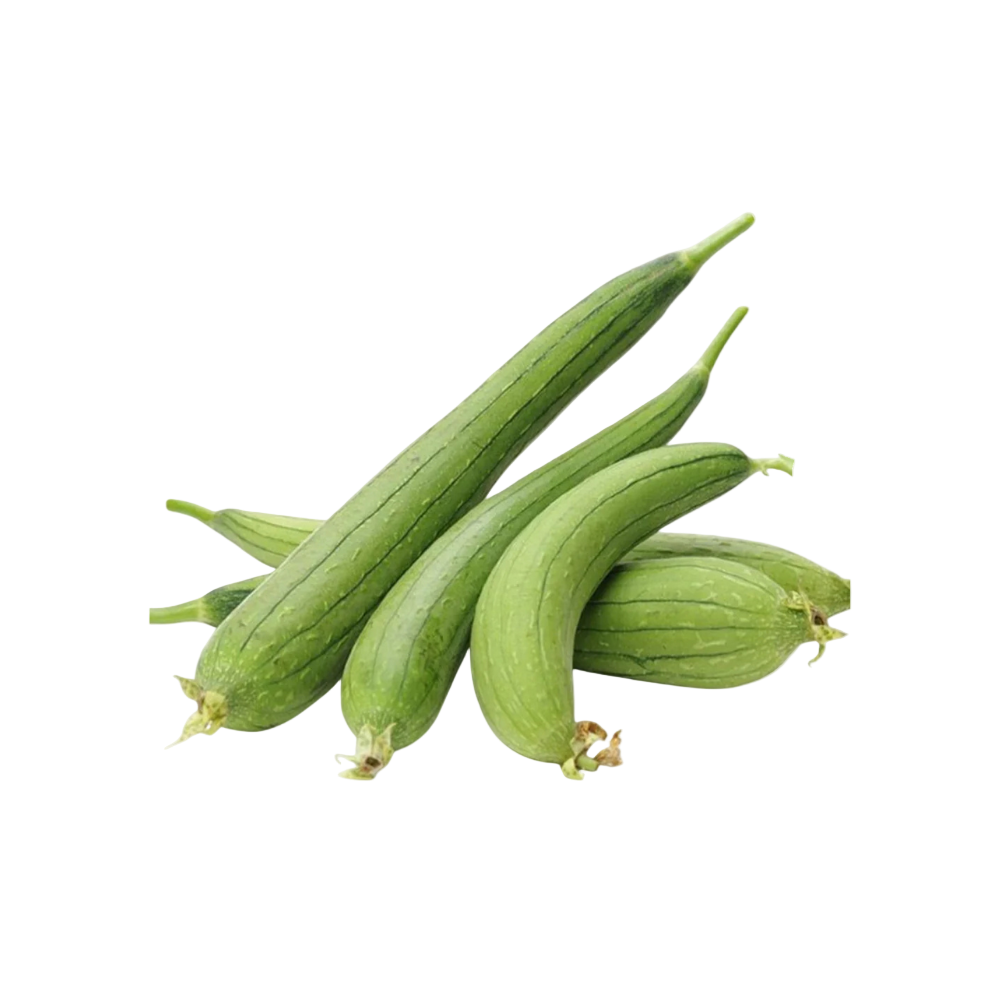 Green bottle gourds on a white background