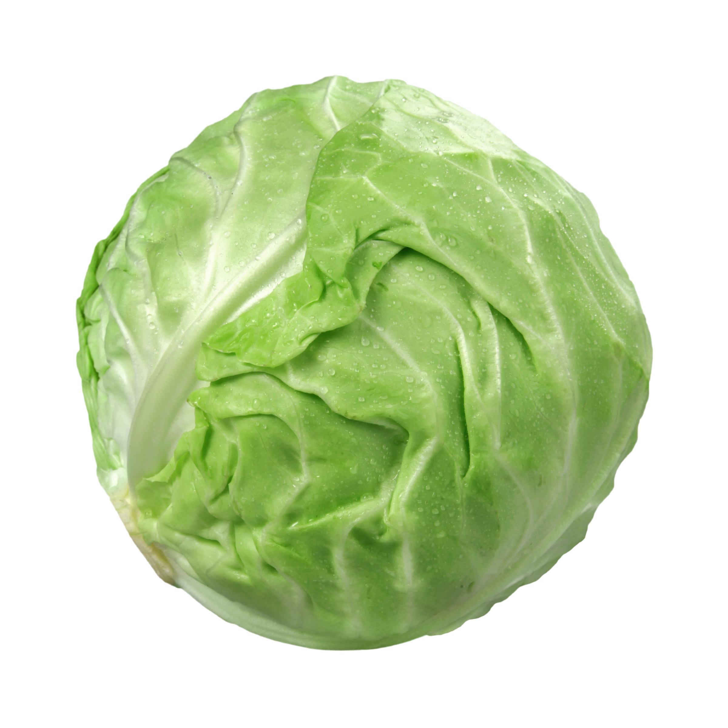 Fresh cabbage 1kg    بند گوبھی