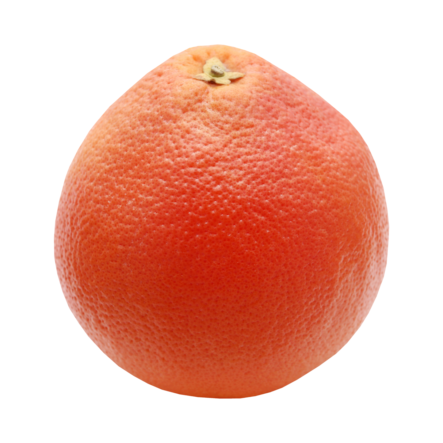 Fresh Grapefruit – گریپ فروٹ