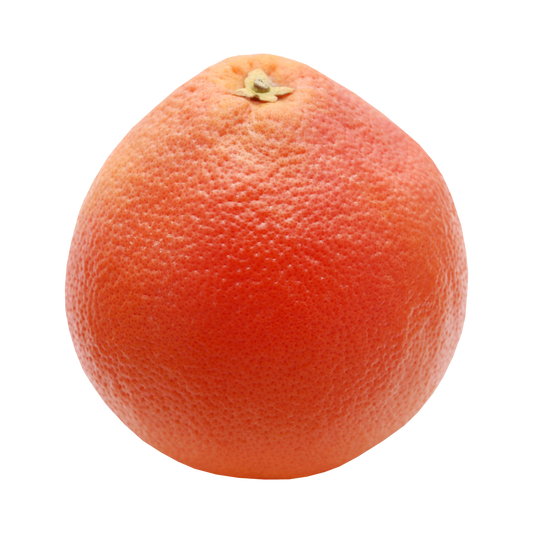 Fresh Grapefruit – گریپ فروٹ