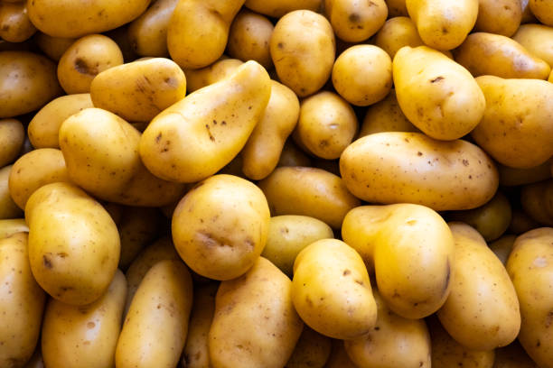 Potato ( Mix Quality- 1kg مکس ) آلو