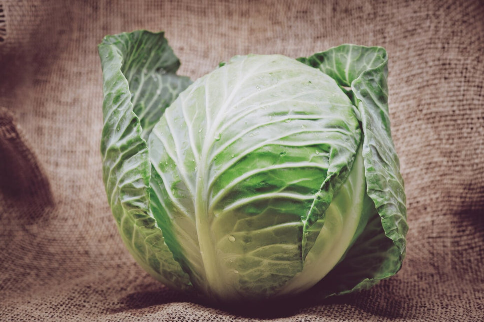 Fresh Green Cabbage