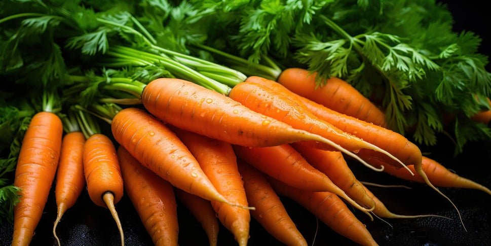 Fresh Orange Carrots