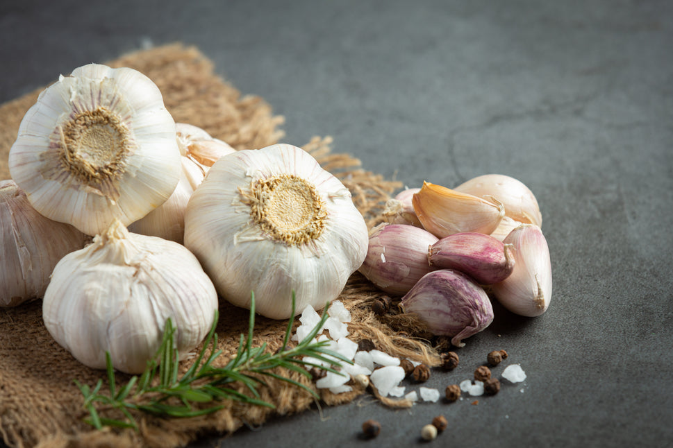 Fresh Garlic