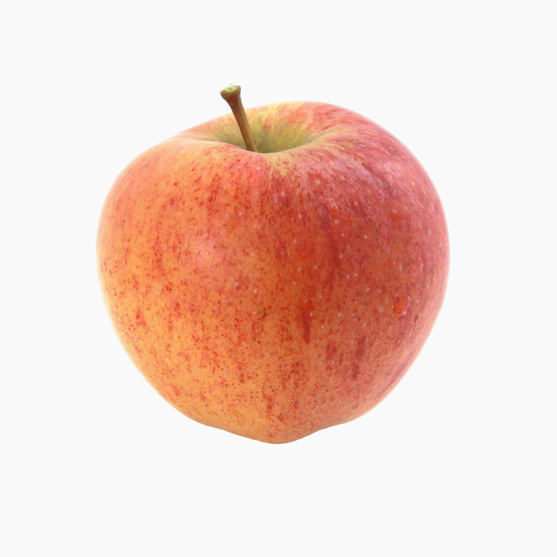 Red apple on a white background