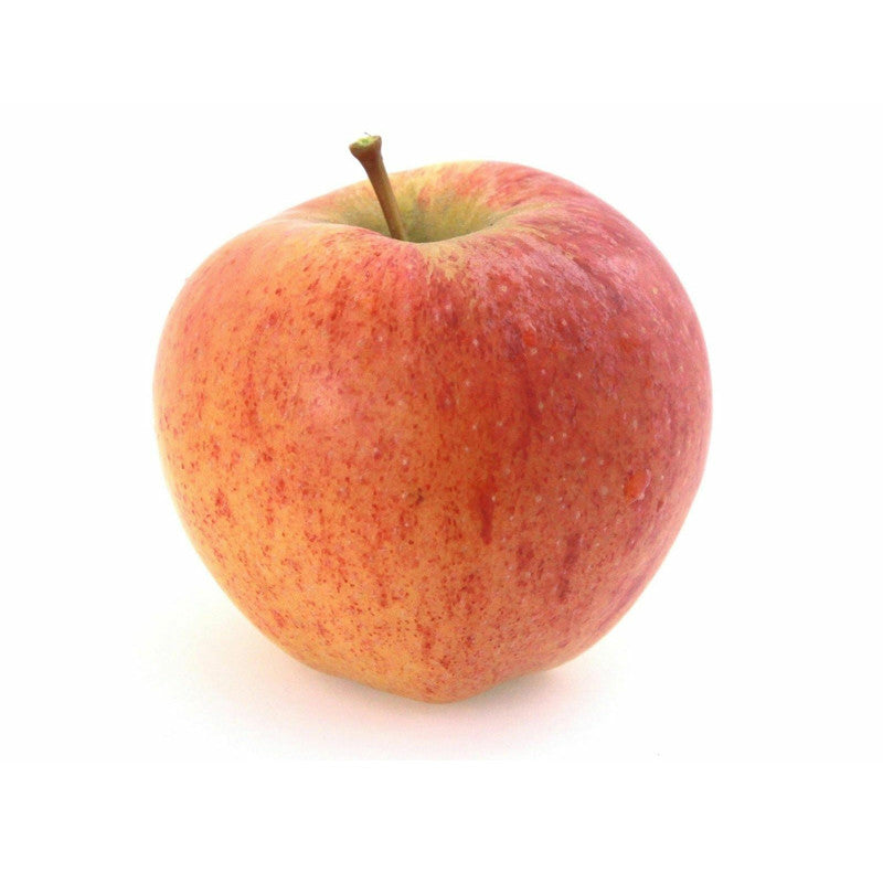 Apple (Gaja) - (سیب (گاجا