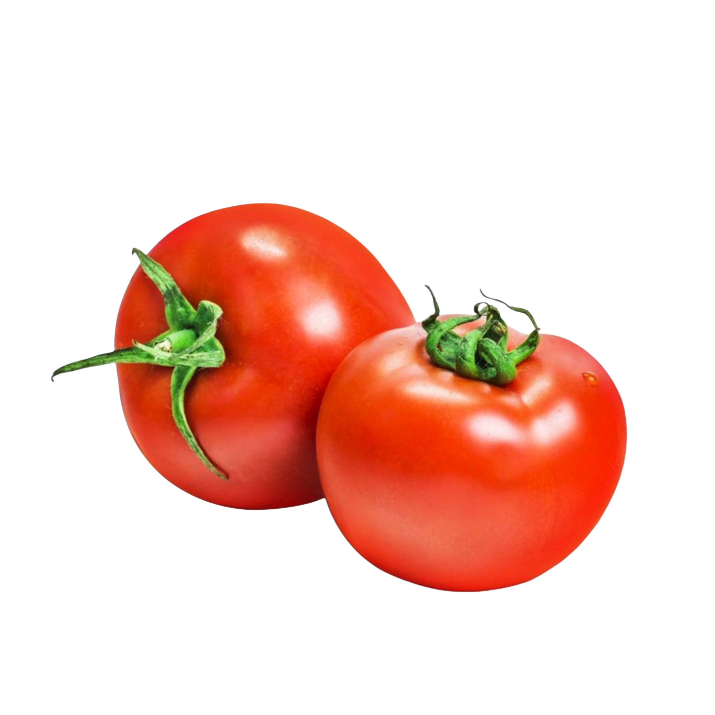 Fresh Tomatoes (premium) 1 kg ٹماٹر