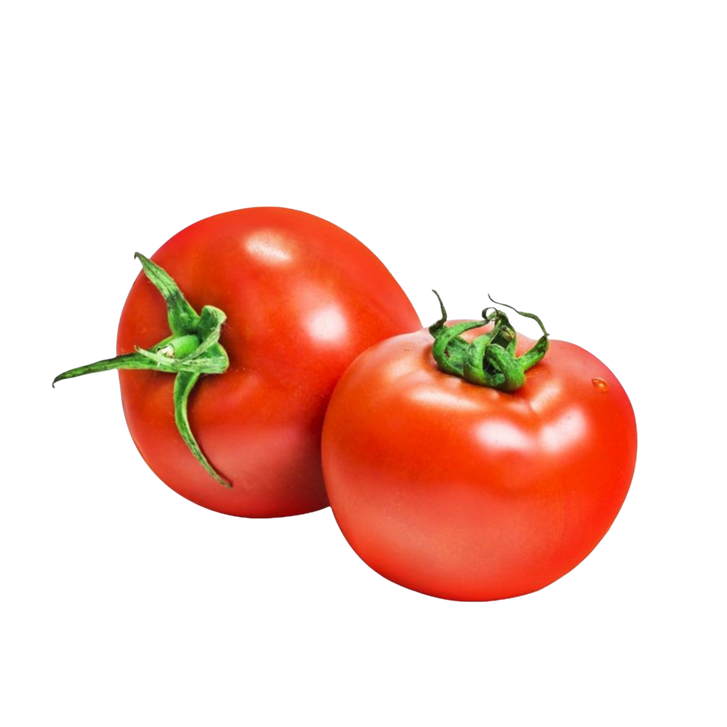 Fresh Tomatoes (premium) 1 kg ٹماٹر