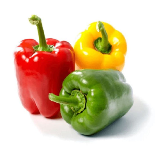 Hybrid Capsicum Mix -