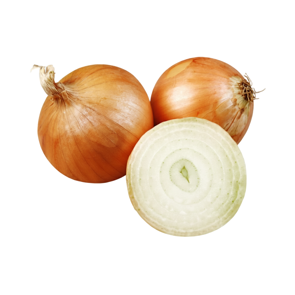 Three onions on a white background